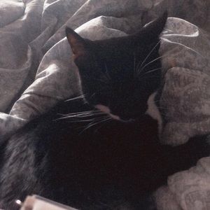 Meet your Posher, Verity